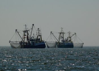 Hook To Plate: How Blockchain Tech Could Turn The Tide For Sustainable Fishing