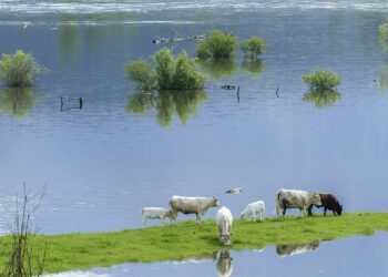 Some Drought, Some Flooding For Indiana Farmers