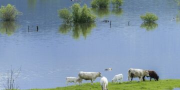Some Drought, Some Flooding For Indiana Farmers