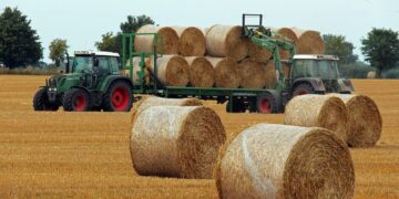 To Bale, Or Not To Bale