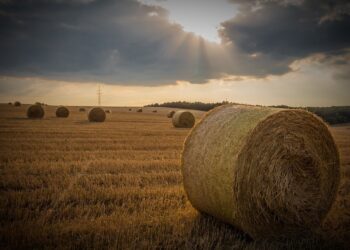 From The Farm: State Of The Ag Economy