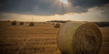 From The Farm: State Of The Ag Economy