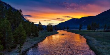 Water Board Fees Add More Costs To Growers, As Disasters And Regulations Mount Up