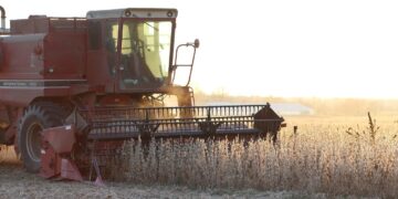 Renewable-Fuel Push Drives Soyoil Prices to Record High