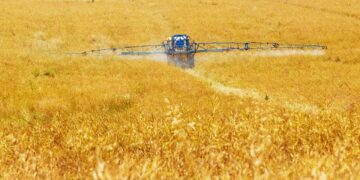 Getting Ahead When You’re Behind On In-Crop Weed Control