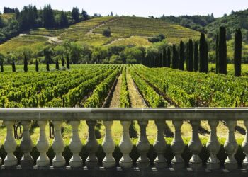 Winemakers Collaborate With Weed Growers On New Cannabis Appellation Systems