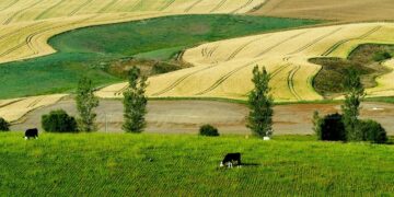 Protein PACT Initiative Launched by Animal Agriculture Groups