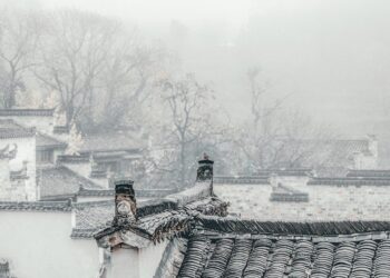 Swine Fever Surge Hits Farms In China’s Sichuan; Govt Moves To Stabilize Hog Production