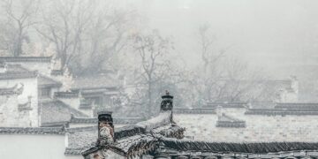 Swine Fever Surge Hits Farms In China’s Sichuan; Govt Moves To Stabilize Hog Production