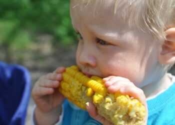 Corn Futures Slide By Daily Limit As U.S. Crop Weather Improves
