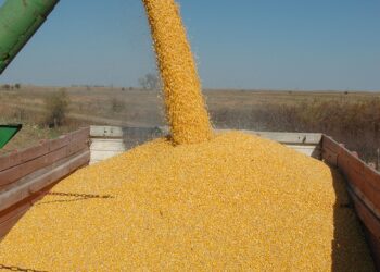 3 Big Things Today, July 15, 2021