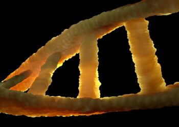 Scientists Call For Action On Gene Editing