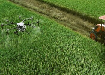 From Seeds To Trees, These Israeli Startups Are Helping Crops Grow Smarter