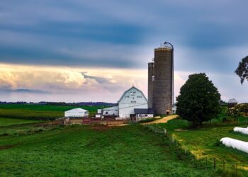 Net Zero: What Does It Mean For Farmers And Ranchers?