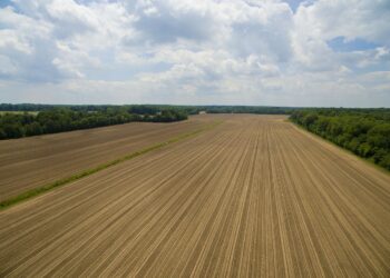 Agriculture Roundup for Saturday July 10, 2021