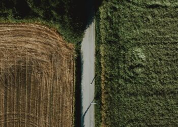 Gaining Appreciation For The Roots Of Modern Agriculture