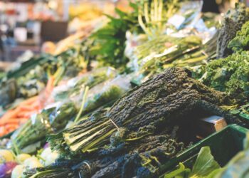 Global Food Prices Rising