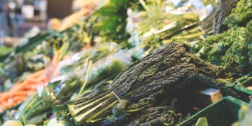 Global Food Prices Rising