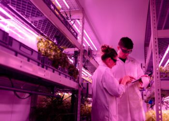 GrowFlux Improves Lighting For Indoor Agriculture