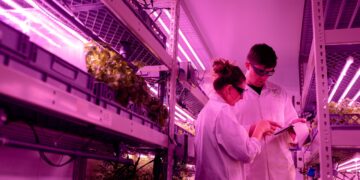 GrowFlux Improves Lighting For Indoor Agriculture