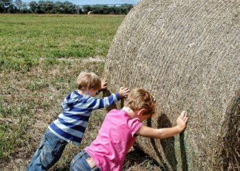 Schools Expands Agriculture Programs Due To High Demand