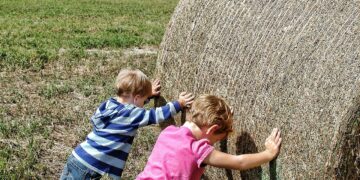 Schools Expands Agriculture Programs Due To High Demand