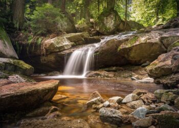 N.C. Riverkeepers Cry Foul Over State’s Farm Law