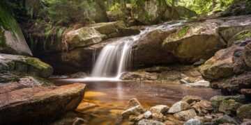 N.C. Riverkeepers Cry Foul Over State’s Farm Law