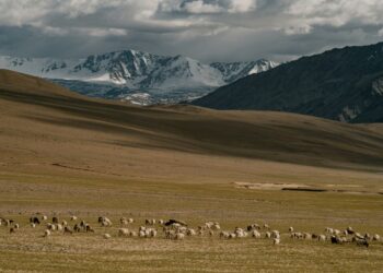 Nebraska Grazing Conference Set For Aug. 9-11-21