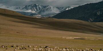 Nebraska Grazing Conference Set For Aug. 9-11-21