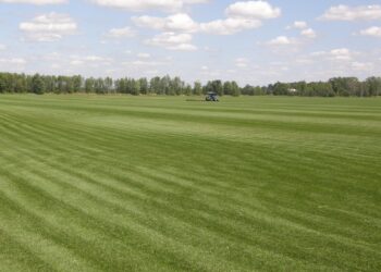 Rhode Island’s Top Crop is Sod, But Would Prime Farmland Be Better Used to Grow Food?