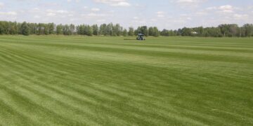 Rhode Island’s Top Crop is Sod, But Would Prime Farmland Be Better Used to Grow Food?