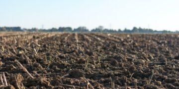 Kansas, Oklahoma Farmers Practicing Regenerative Soil Solutions