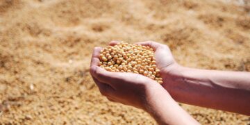 US SSAP Reaches New Export Milestone