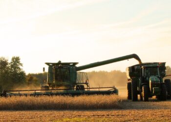 Soybean Scouting Tips | Successful Farming