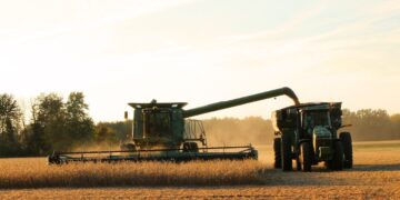 Soybean Scouting Tips | Successful Farming