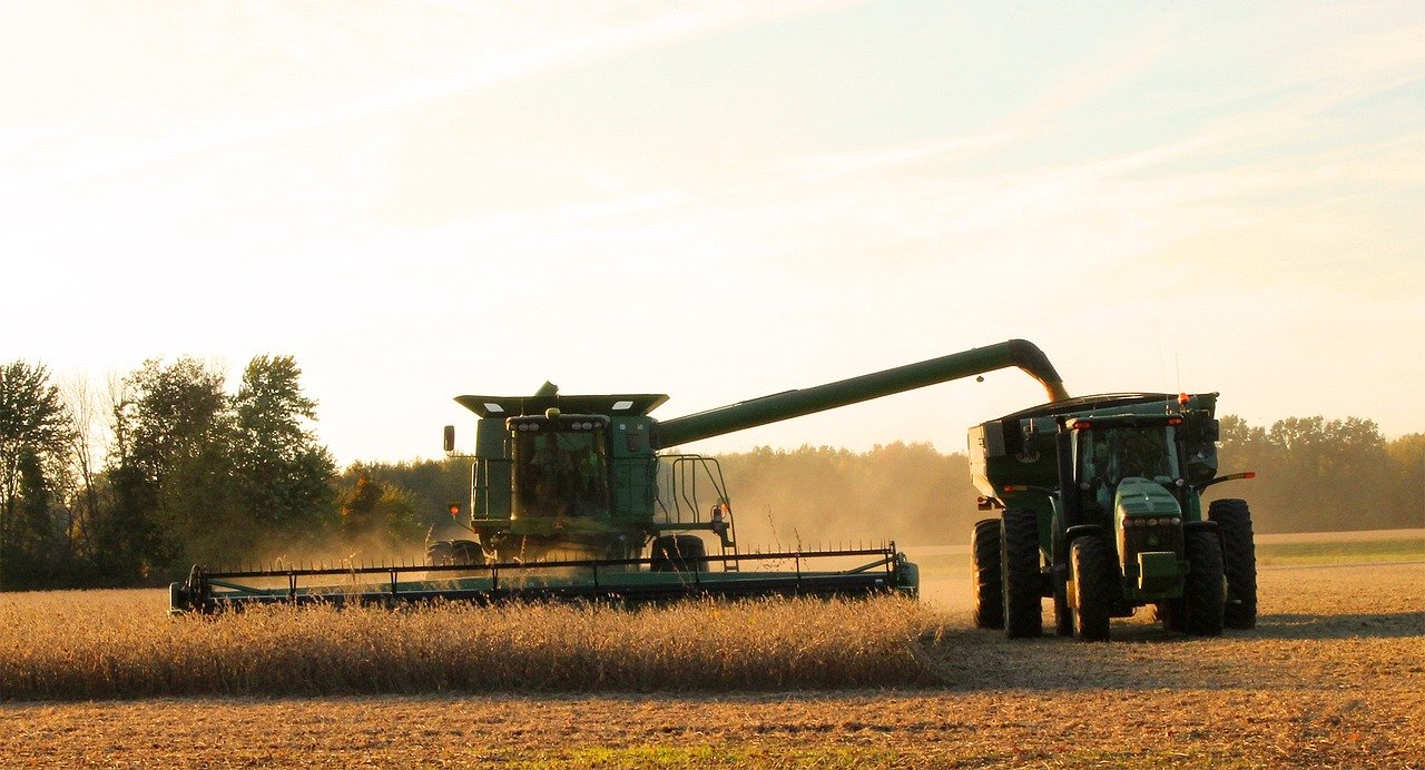 Soybean Scouting Tips Successful Farming Worldagjournal