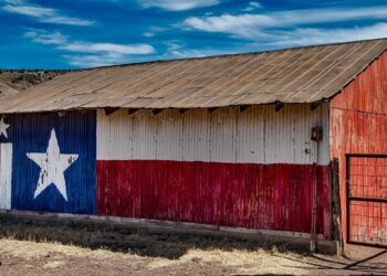 Texas FFA Announces 2021 TFB Scholarship Winners