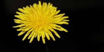 Not All Weeds Are Created Equally