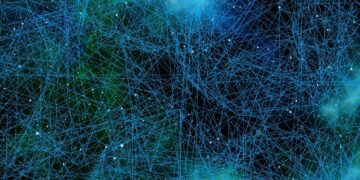 Bioneer Industries Digitizes And Connects With Farmers