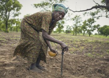 African Farmers Are Missing Out On Agricultural Technology Innovations