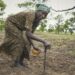 African Farmers Are Missing Out On Agricultural Technology Innovations