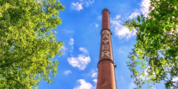 Bayer Crop Science Partners Pinduoduo In Smart Agriculture