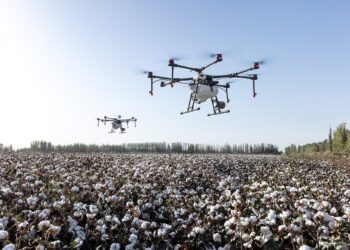 Is the Robot-Filled Future of Farming a Nightmare or Utopia?