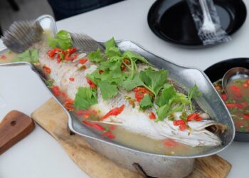 To Grow Big Bass Keep A Few Small Ones