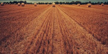 Atlantic Farmers’ Surplus Hay Heading To Drought-Stricken Prairies