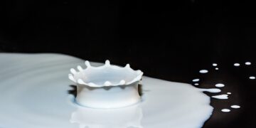 Why We Should Care About Dairy Exports