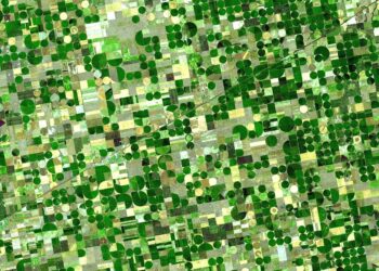 How This Year’s Drought, Extreme Heat Are Impacting America’s Crops