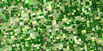 How This Year’s Drought, Extreme Heat Are Impacting America’s Crops