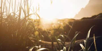 Agriculture Field Robot Market Report Entails a Detailed